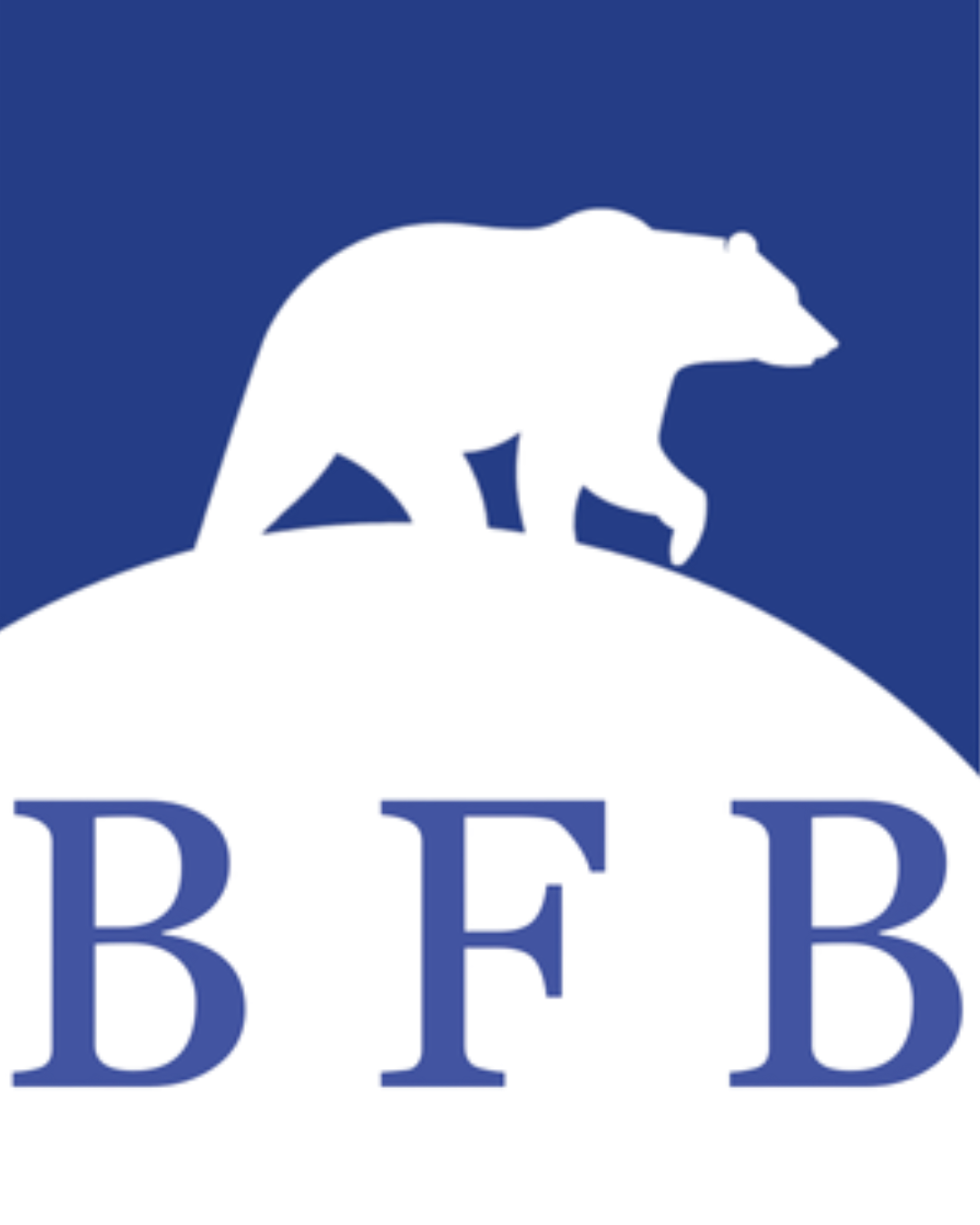 Bruins in Finance and Banking